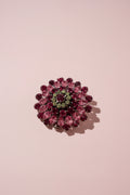 Pink Brooch